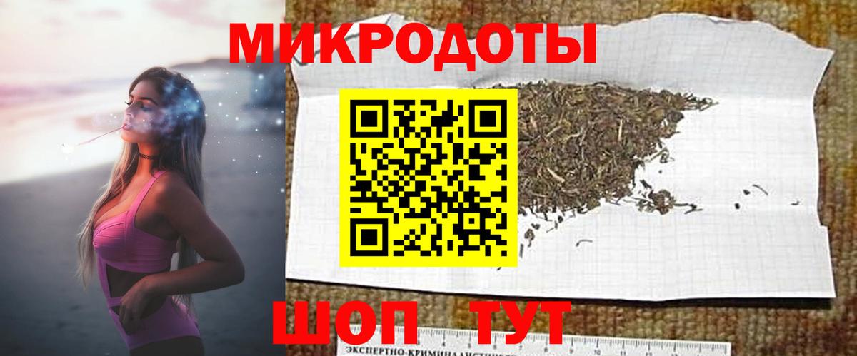 Галлюциногенные грибы Psilocybe Уссурийск