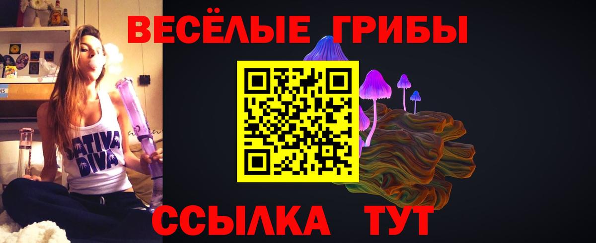Уссурийск  Галлюциногенные грибы GOLDEN TEACHER  Вход с VPN  Галлюциногенные грибы Magic Shrooms 